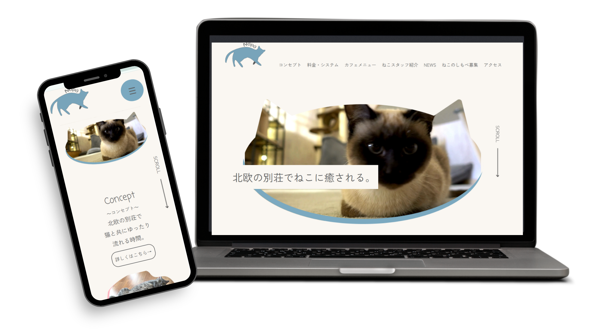 猫カフェサイト画像