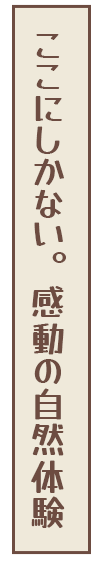ここにしかない。感動の自然体験